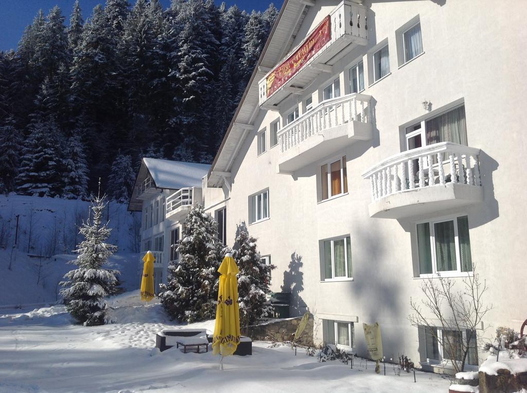 Hotel Casa Avram Sucevita Exterior foto